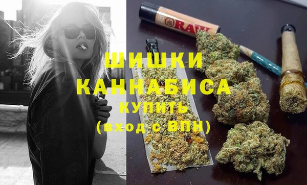 индика Волоколамск
