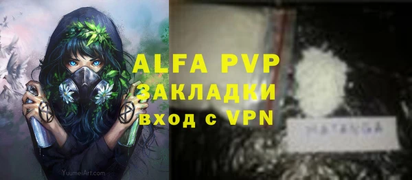 ПСИЛОЦИБИНОВЫЕ ГРИБЫ Волосово