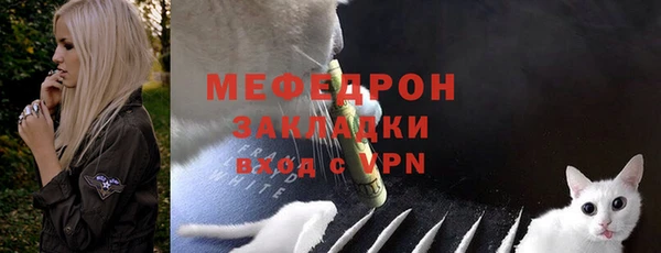 индика Волоколамск