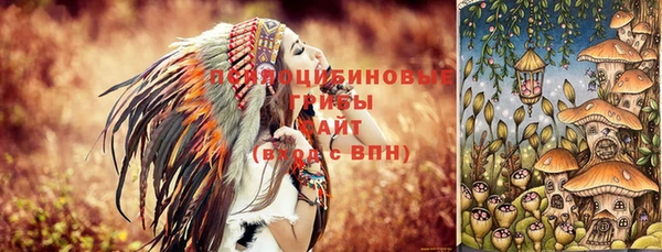 ПСИЛОЦИБИНОВЫЕ ГРИБЫ Волосово