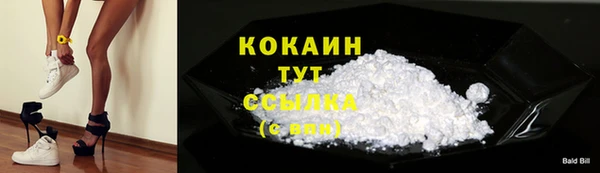 ПСИЛОЦИБИНОВЫЕ ГРИБЫ Волосово