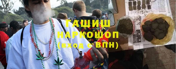 индика Волоколамск