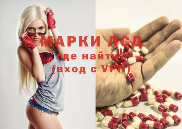 индика Волоколамск