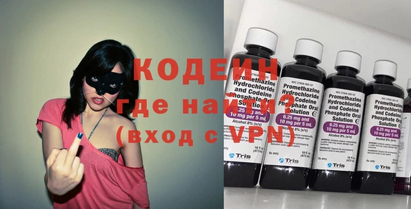 индика Волоколамск