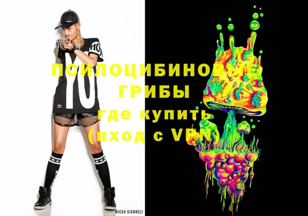 индика Волоколамск