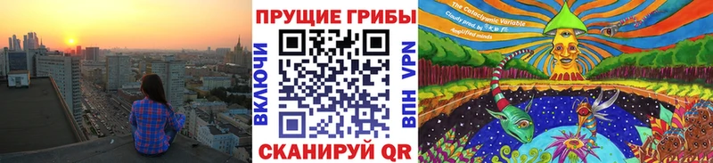 Галлюциногенные грибы Cubensis  Купить  Западная Двина 